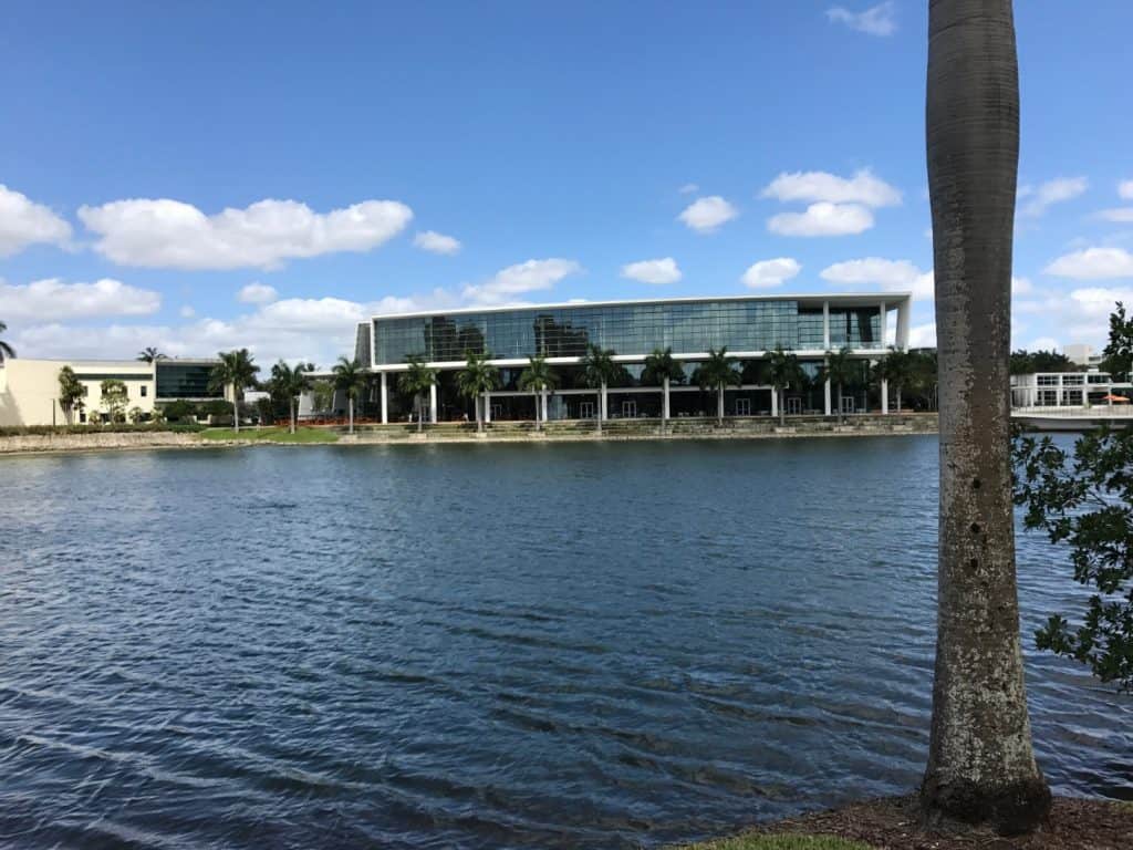 University of Miami 
