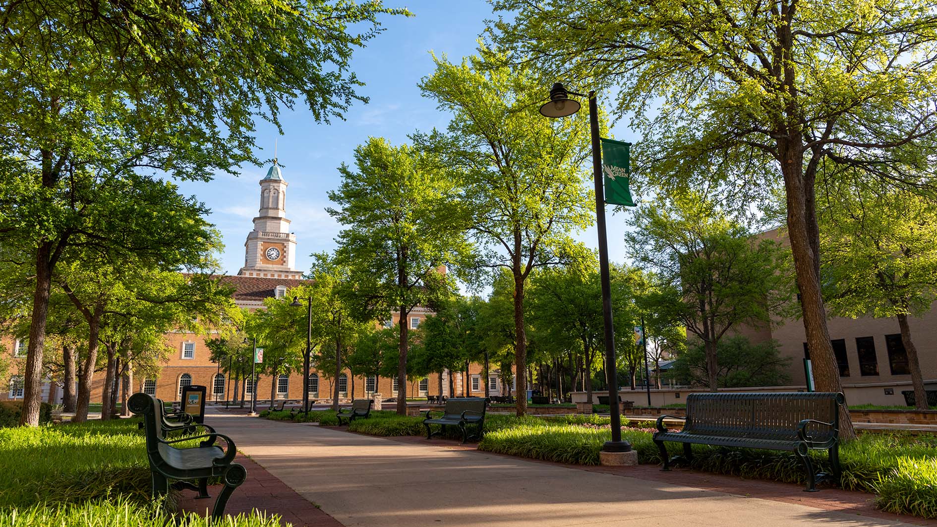 University of North Texas 
