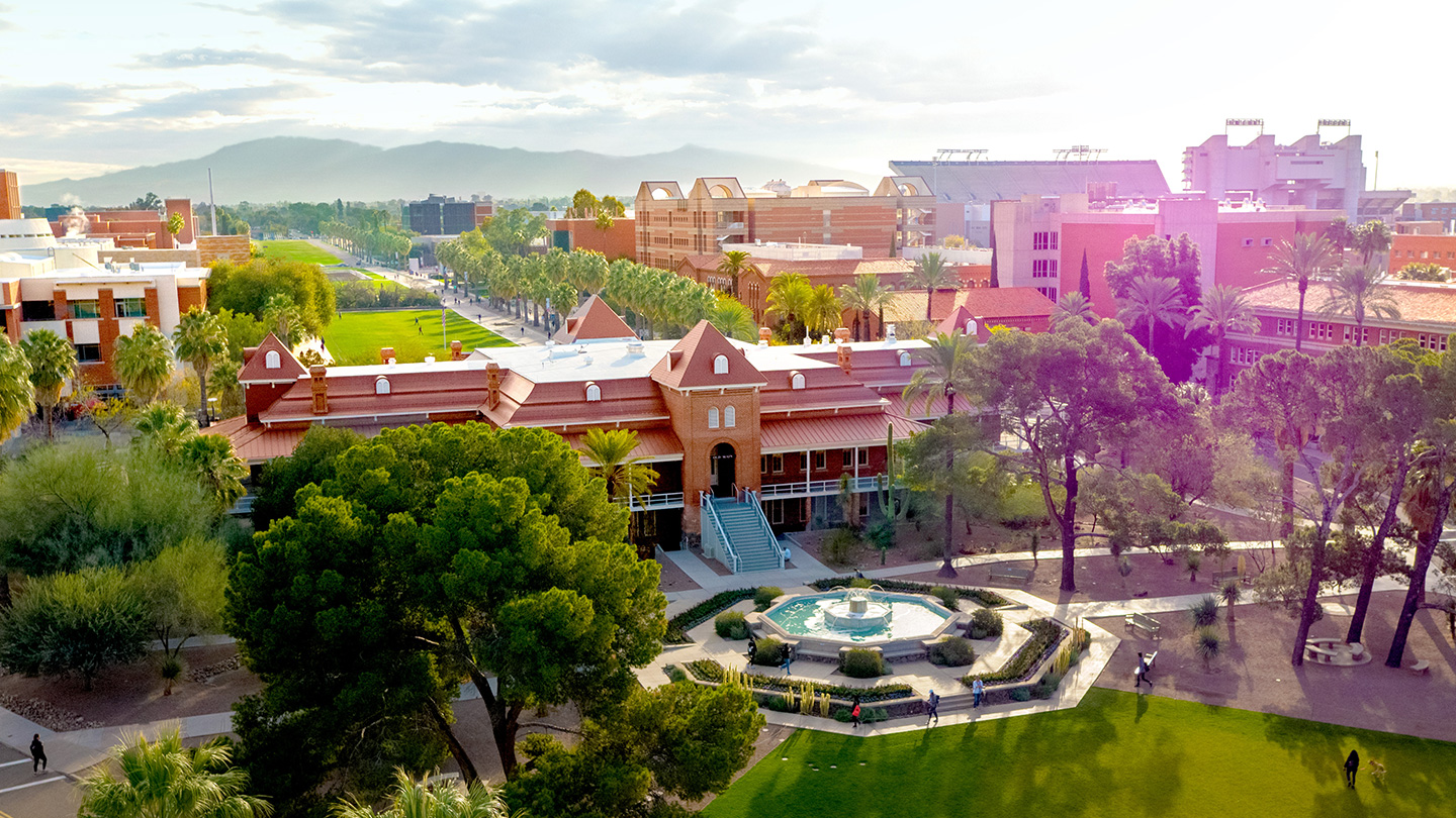 University of Arizona 